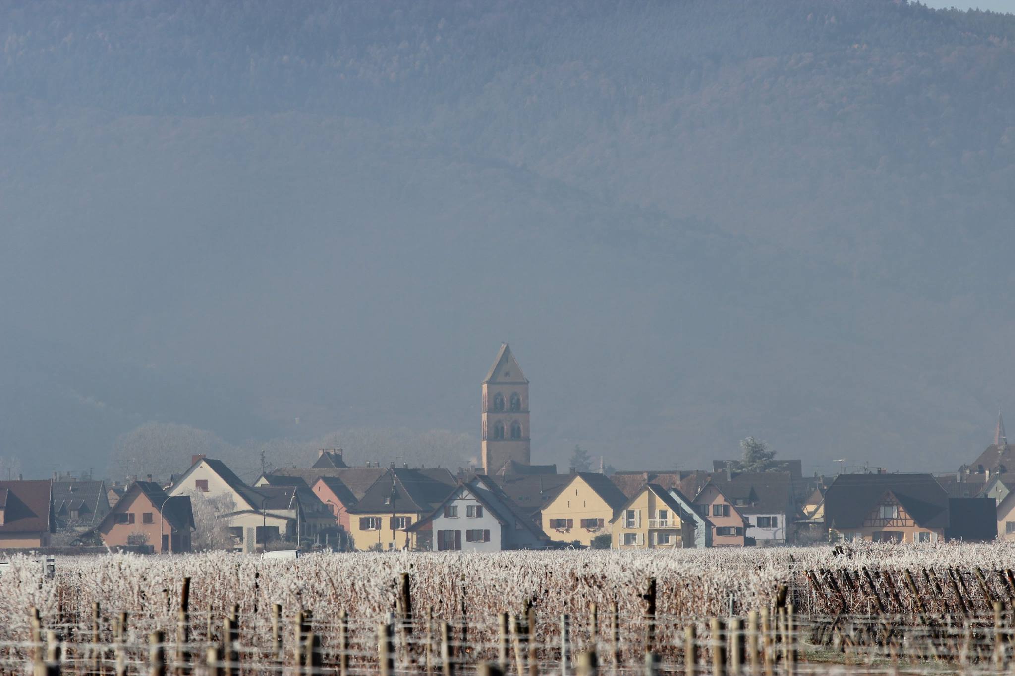 Sigolsheim